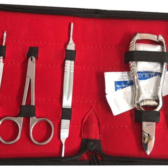 WhatsApp Image 2025-09-18 at 5.44.28 PM