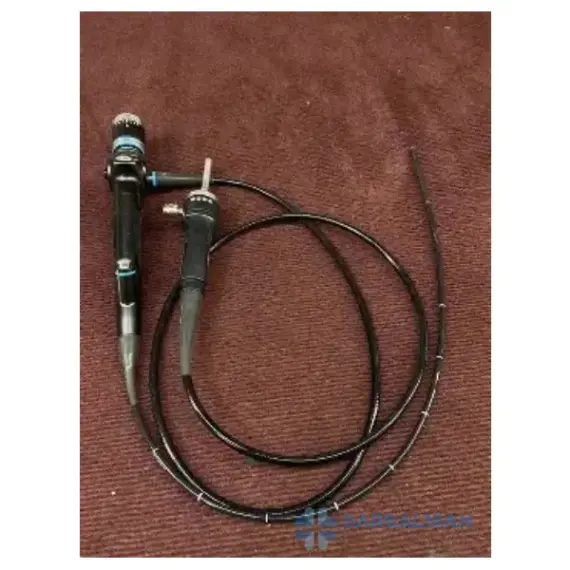 Endoscope
