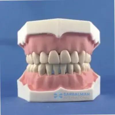 Teeth Set.